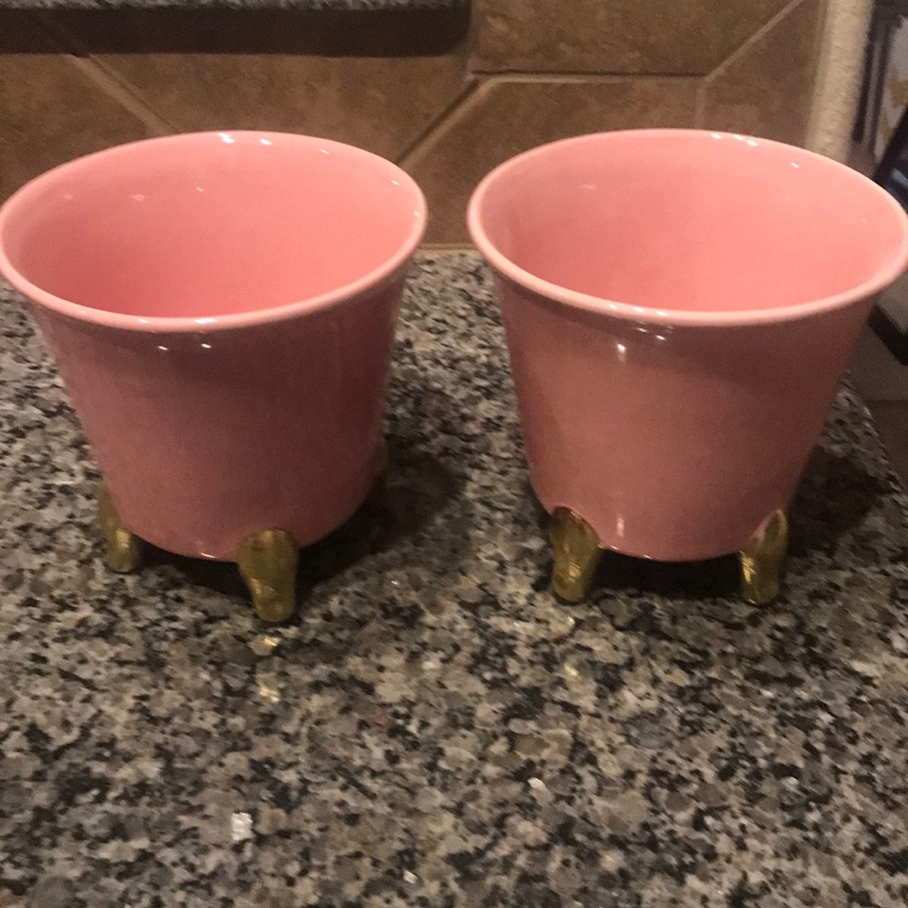 2 inside decorative pots